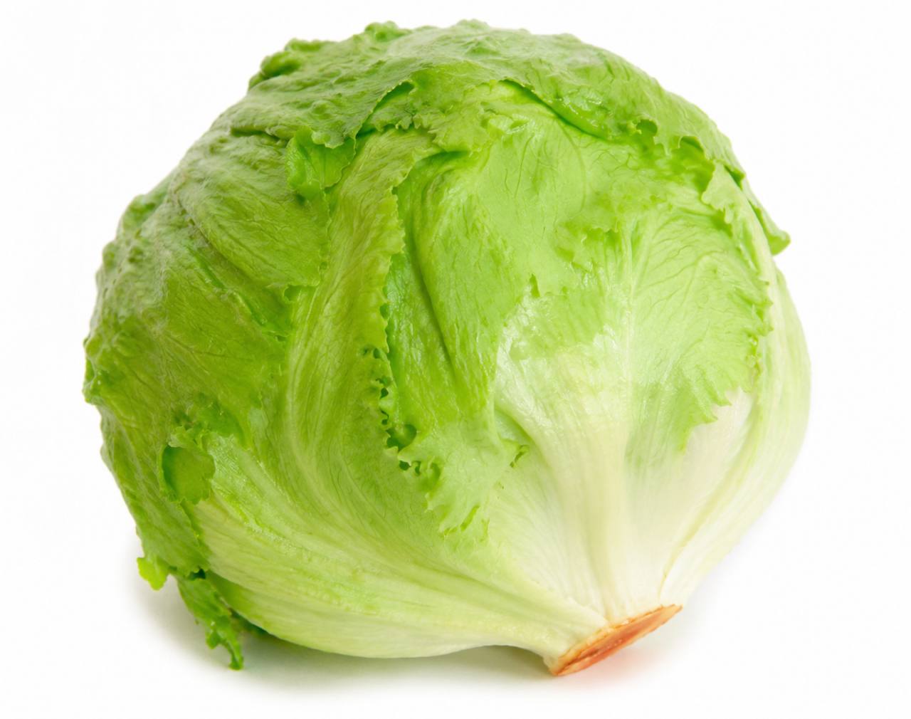 07-18-26-Lechuga-Iceberg
