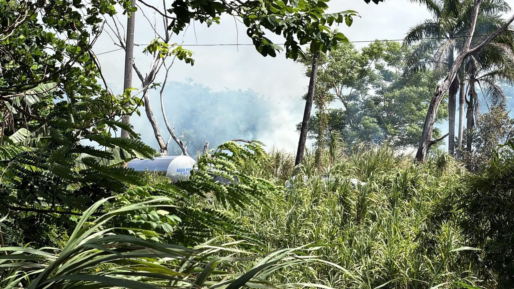 8-21-26-Incendio-Jardin-Botanico-UPR