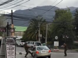 Conductor ebrio fue detenido tras intentar evadir fiscalización en Chile