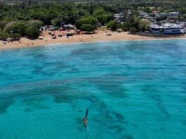 Playa Puerto Nuevo de Vega Baja obtiene Bandera Azul por octava ocasión